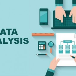 Provide Consultation of Data Analysis